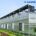 Hydroponics Agriculture Productive Agriculture Green Houses